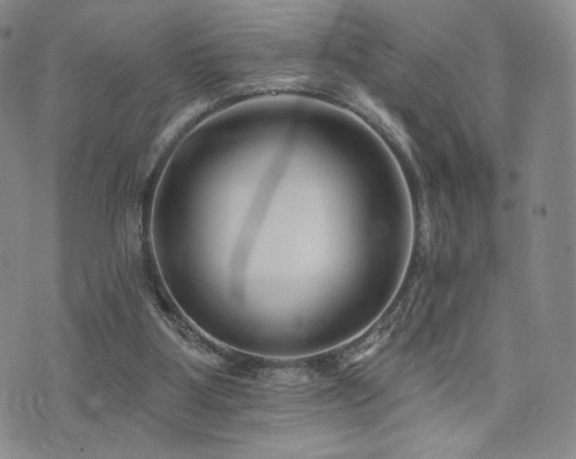 X0000073850107200608101235