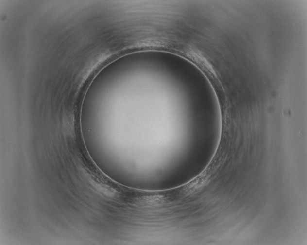 X0000073850108200608101235