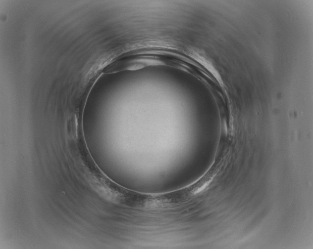 X0000073850109200608101235