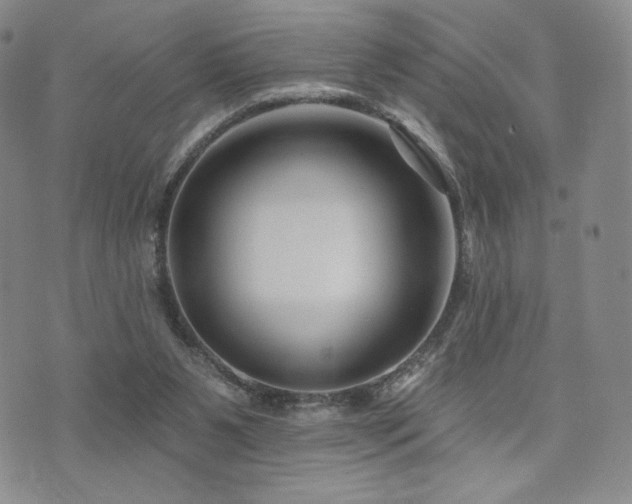 X0000073850111200608101235