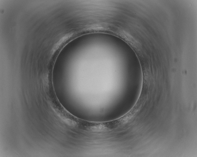 X0000073850112200608101235