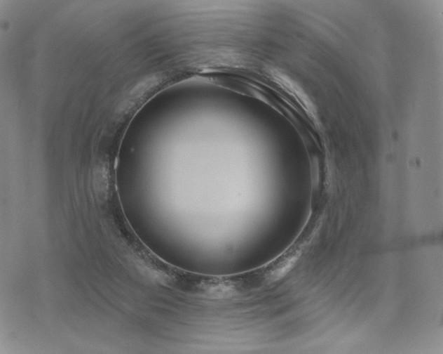 X0000073850113200608101235