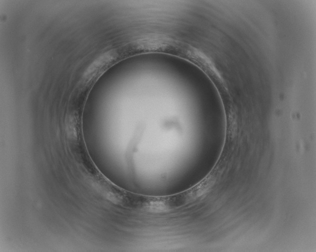 X0000073850114200608101235