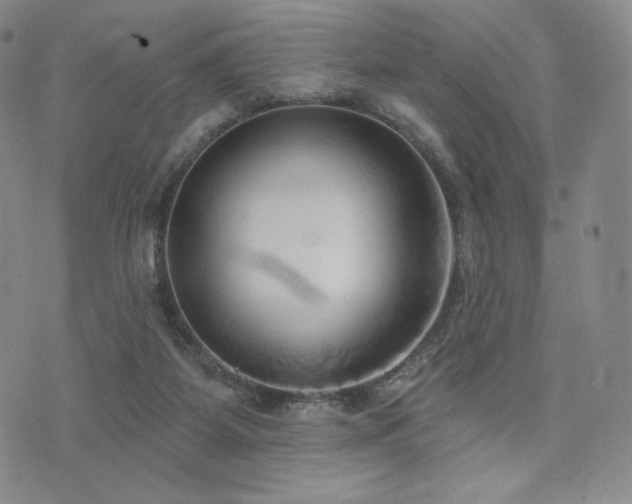 X0000073850115200608101235