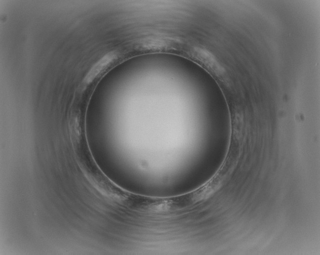 X0000073850116200608101235