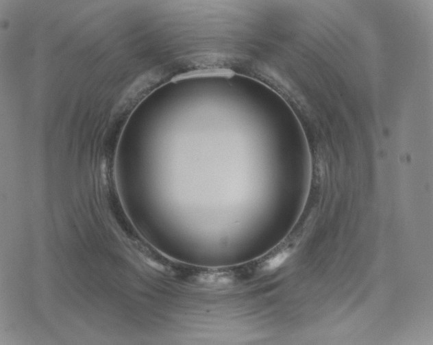 X0000073850117200608101235