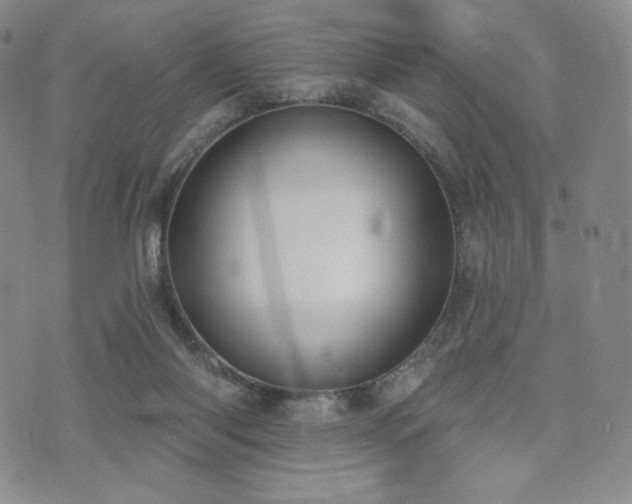 X0000073850118200608101235