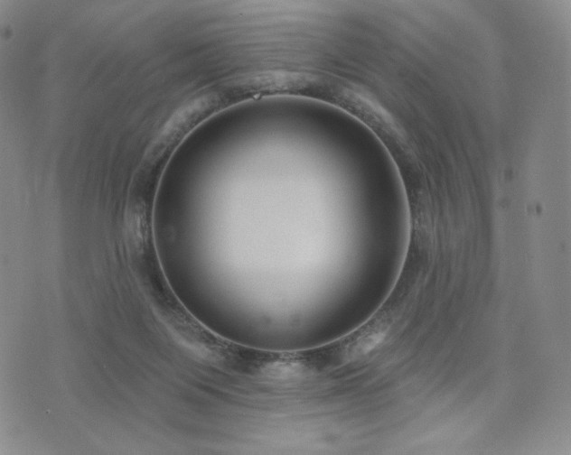 X0000073850119200608101235