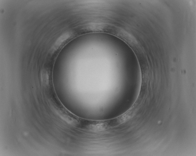 X0000073850120200608101235