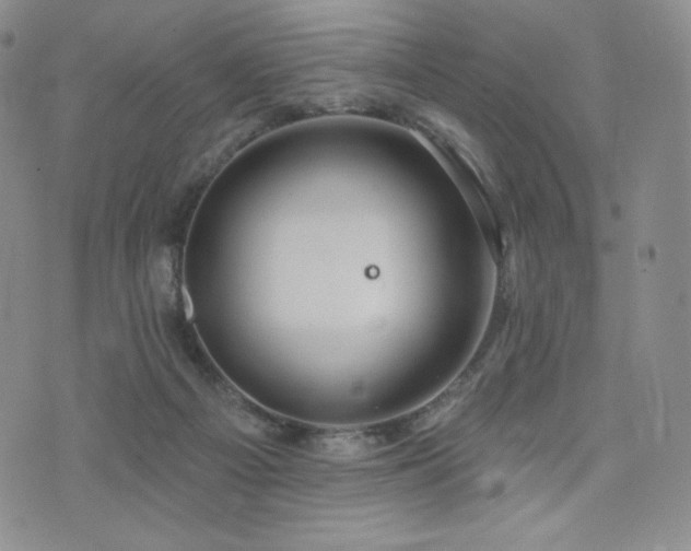 X0000073850121200608101235