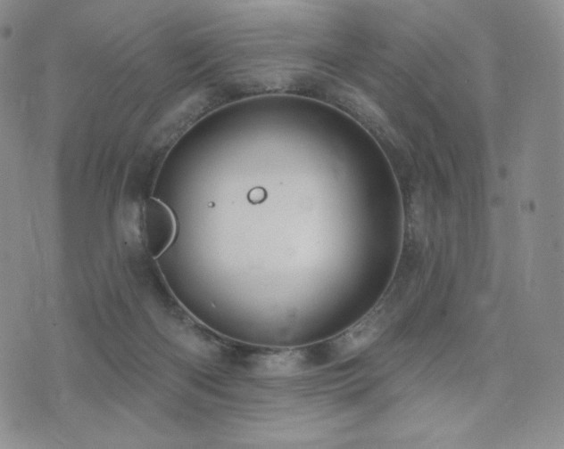 X0000073850122200608101235