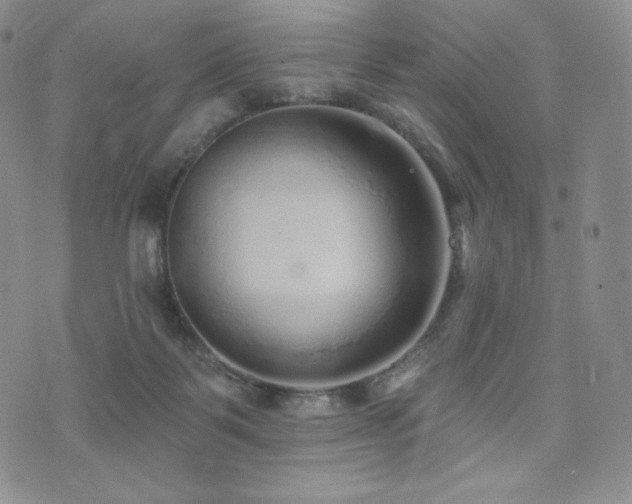 X0000073850123200608101235