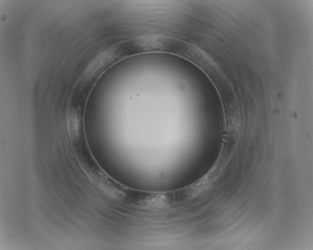 X0000073850124200608101235