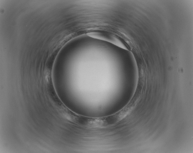 X0000073850125200608101235