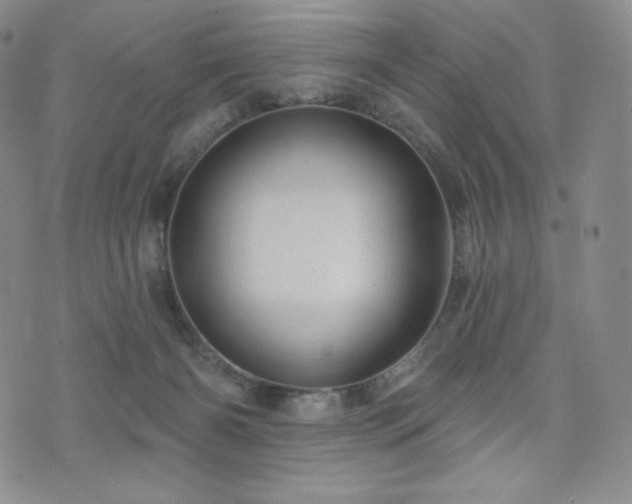 X0000073850126200608101235