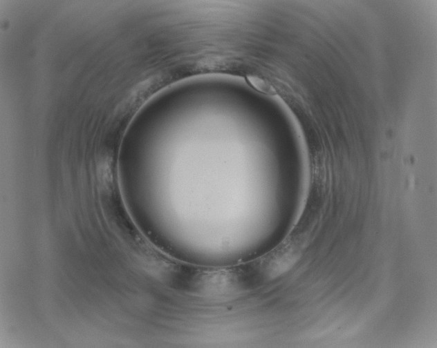 X0000073850127200608101235