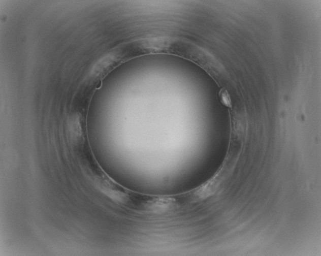 X0000073850128200608101235