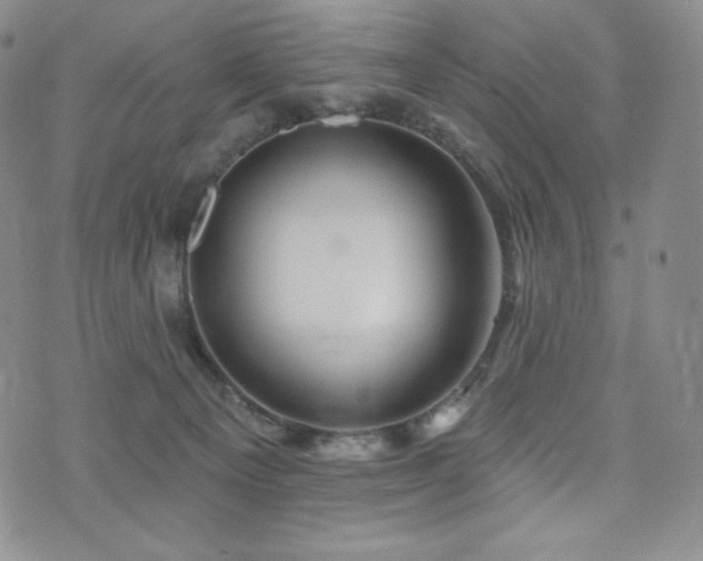 X0000073850129200608101235