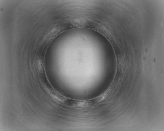 X0000073850130200608101235