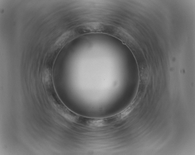 X0000073850132200608101235