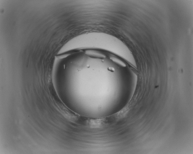 X0000073850134200608101235