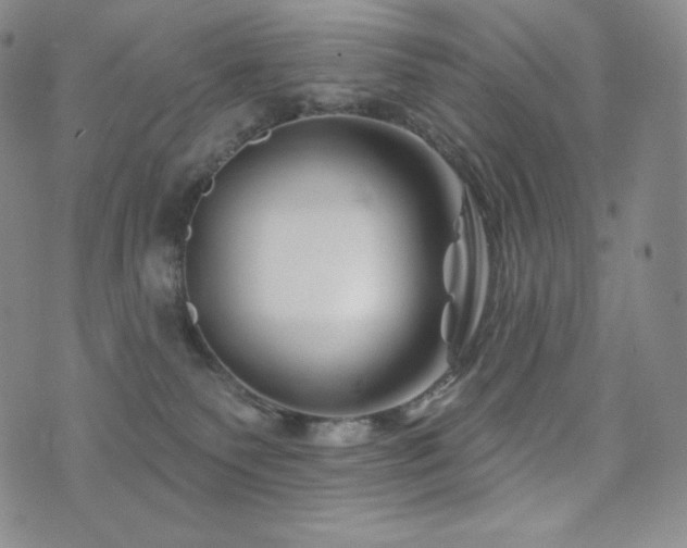 X0000073850135200608101235