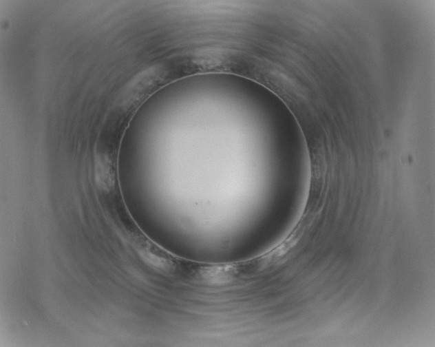 X0000073850136200608101235