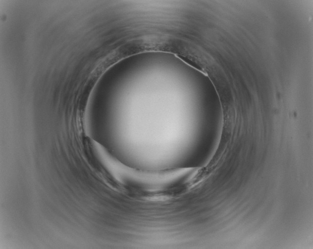 X0000073850137200608101235