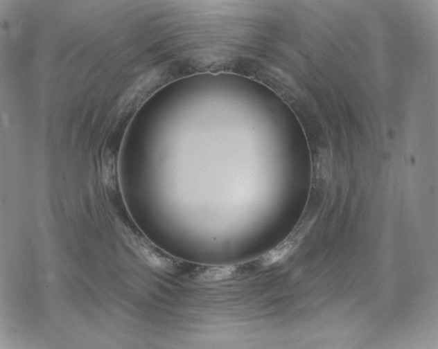 X0000073850138200608101235