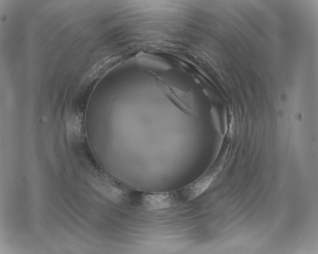 X0000073850139200608101235