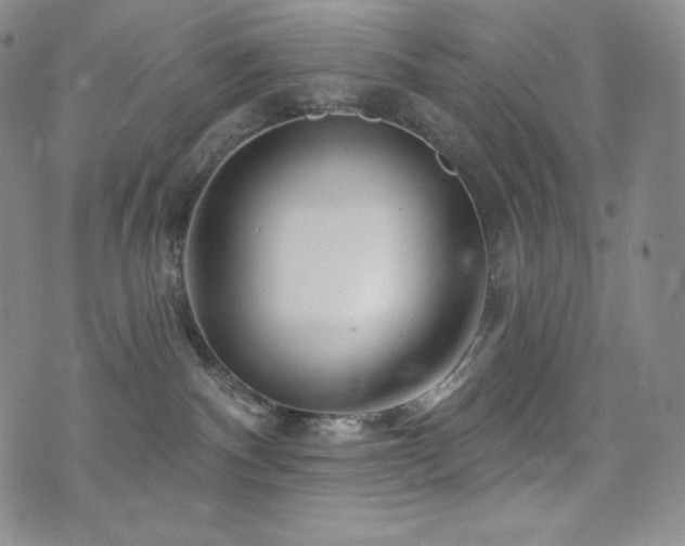 X0000073850140200608101235