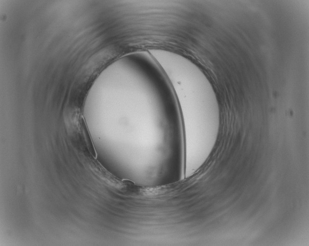 X0000073850141200608101235