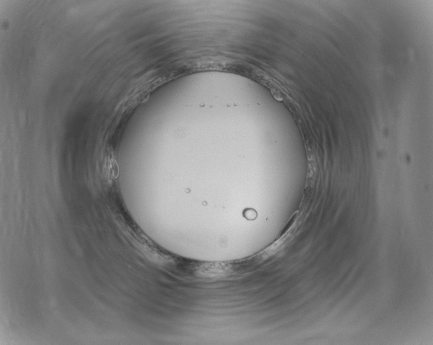 X0000073850142200608101235