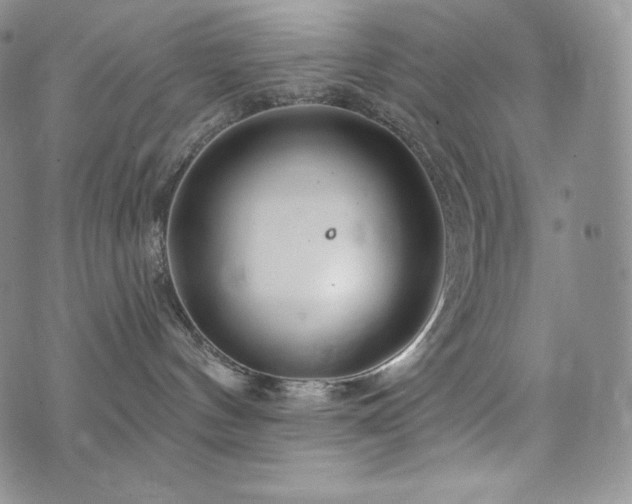 X0000073850144200608101234