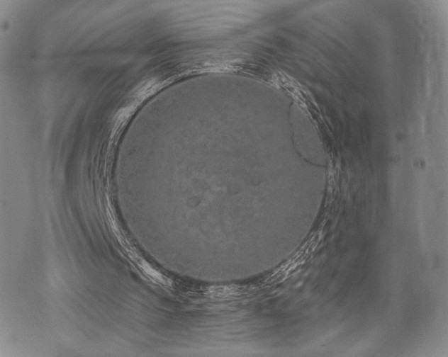 X0000073850145200608101234