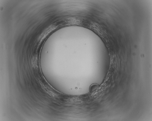 X0000073850146200608101234