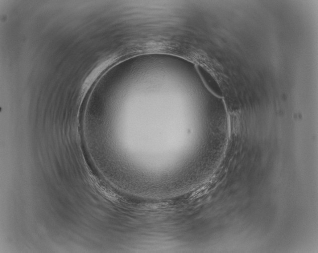 X0000073850147200608101234