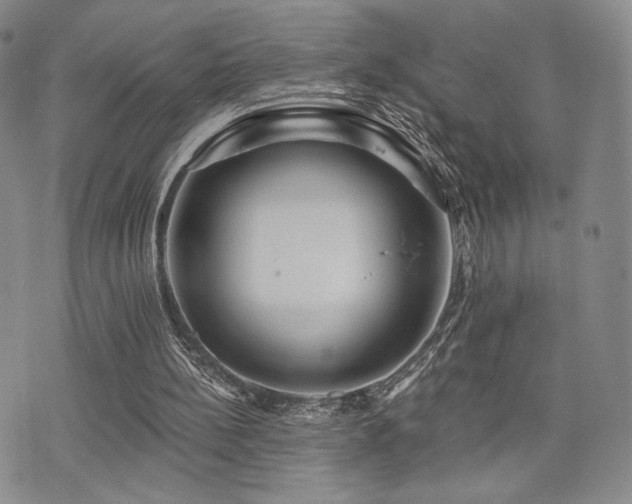 X0000073850148200608101234