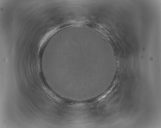 X0000073850149200608101234