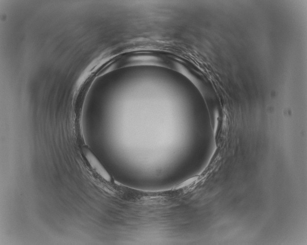 X0000073850150200608101234