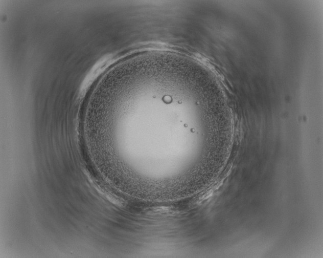 X0000073850151200608101234