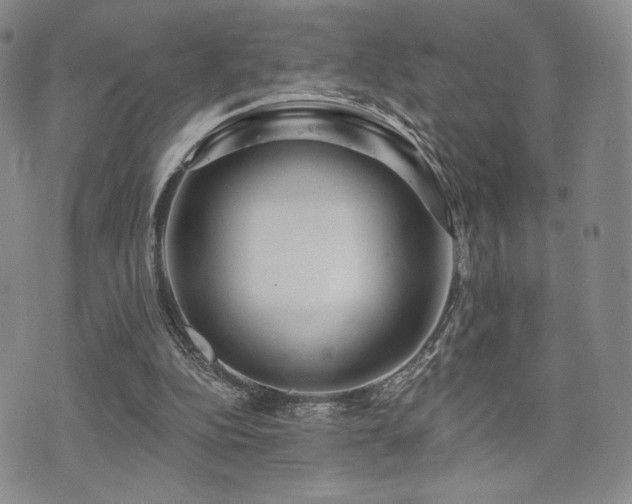 X0000073850152200608101234