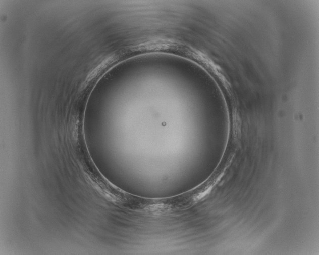 X0000073850153200608101234