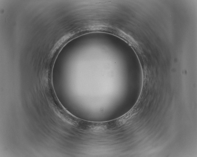 X0000073850155200608101234