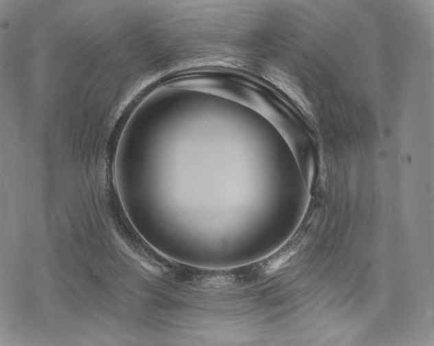 X0000073850156200608101234