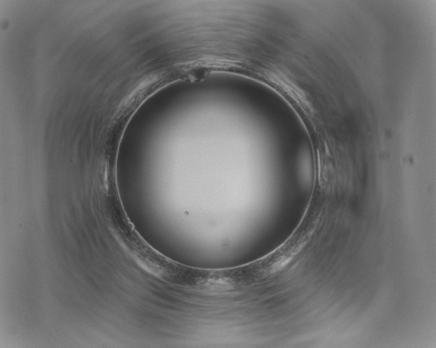 X0000073850157200608101234