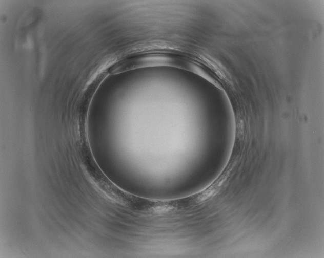 X0000073850158200608101234