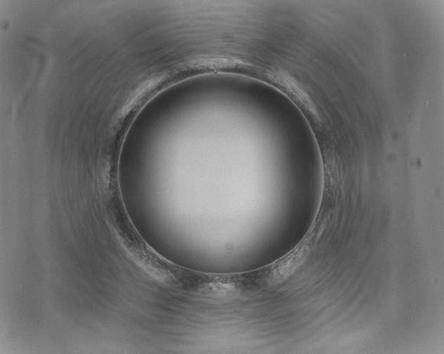 X0000073850159200608101234