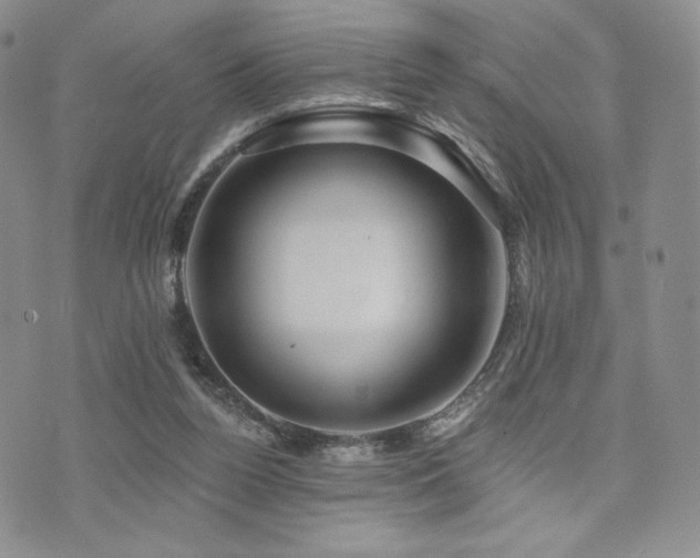 X0000073850160200608101234