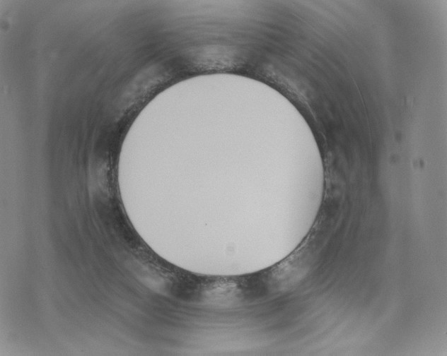 X0000073850162200608101234